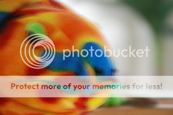 l_4bb9475a95ac01688cdc4cc2c74c2266.jpg