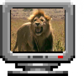 Item Box LION.PNG