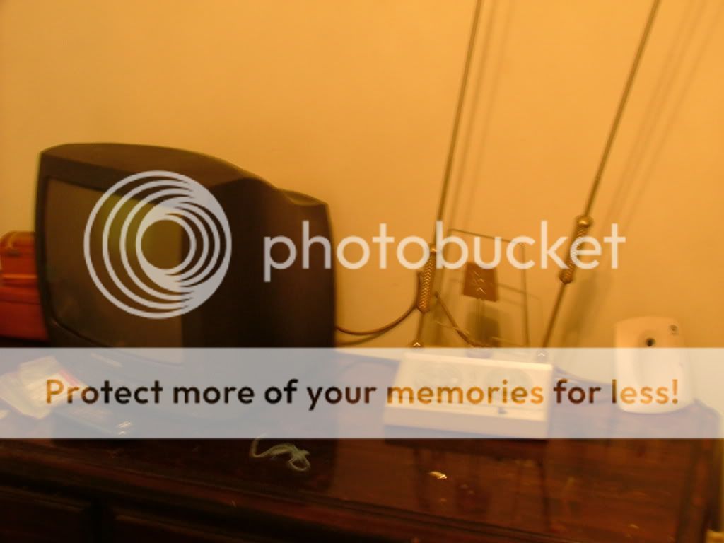 DSCF3376.jpg