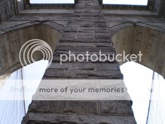 Picture002.jpg