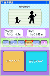 buizeruheight.png