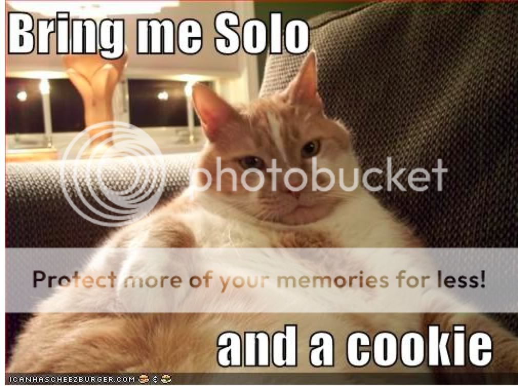 jabbadacat.jpg